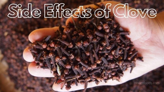 Side Effects of Clove
